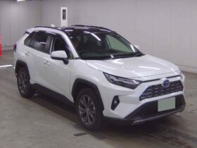 Toyota RAV4 2.5L 4WD Adventure Hybrid
