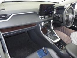 
										Toyota RAV4 G Z 2.0L 4WD full									