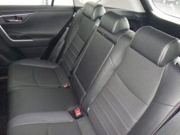 
										Toyota RAV4 G Z 2.0L 4WD full									
