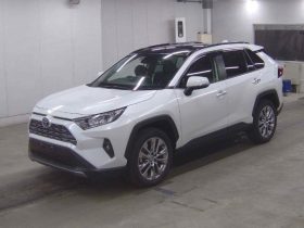 Toyota RAV4 GZ 2.0L