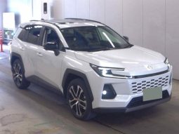 
										Toyota RAV4 2.5L 4WD Hybrid Adventure full									